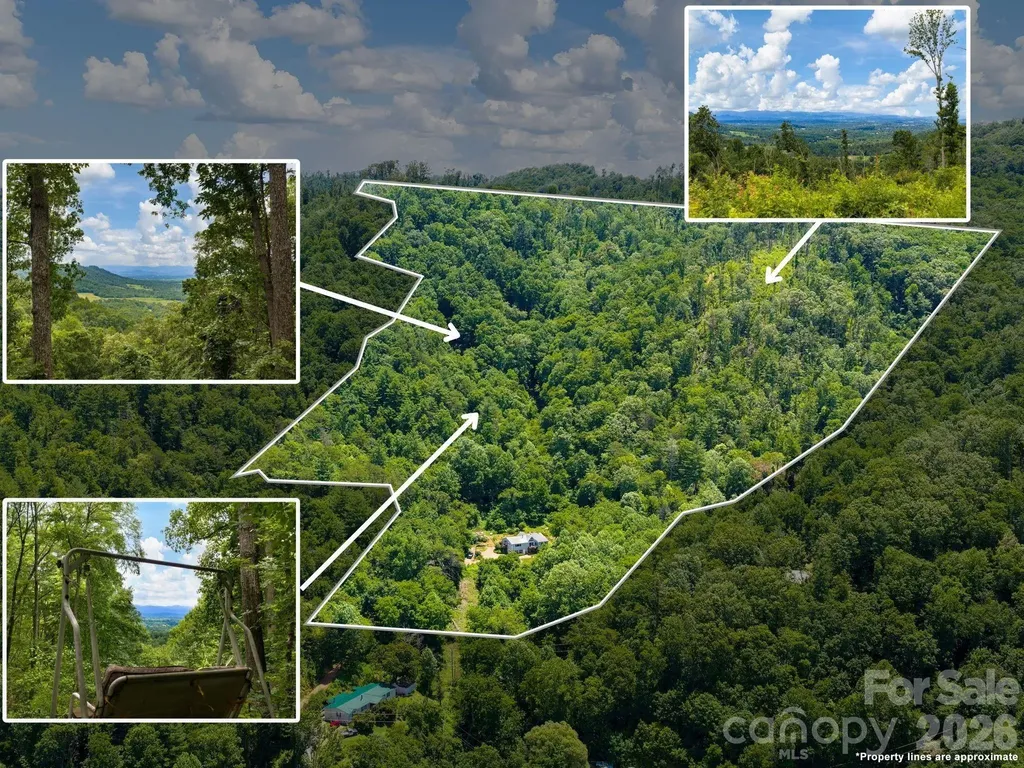 46 Perennial Ridge Weaverville NC 28787