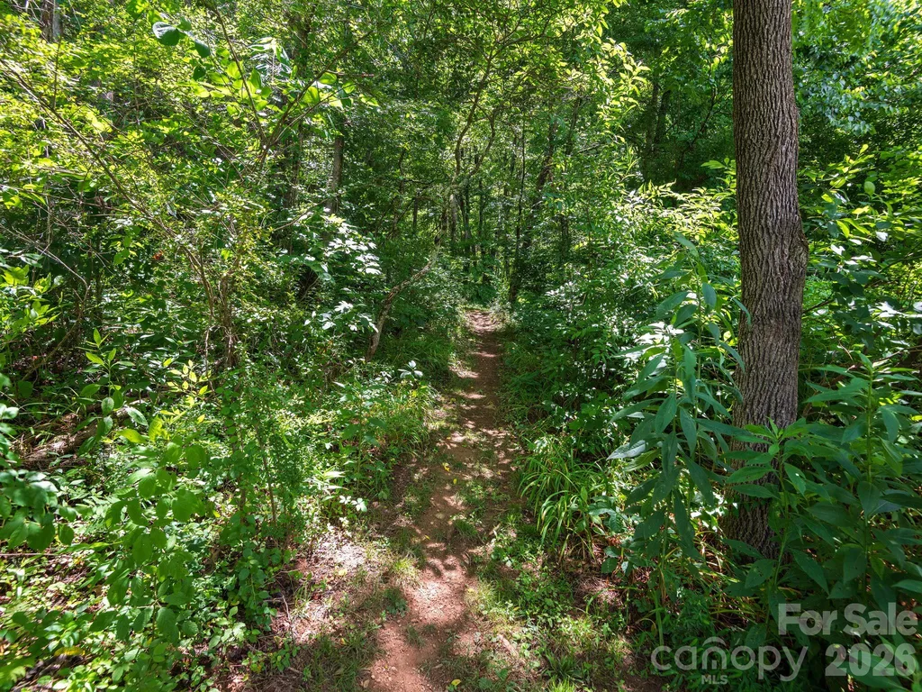 46 Perennial Ridge Weaverville NC 28787