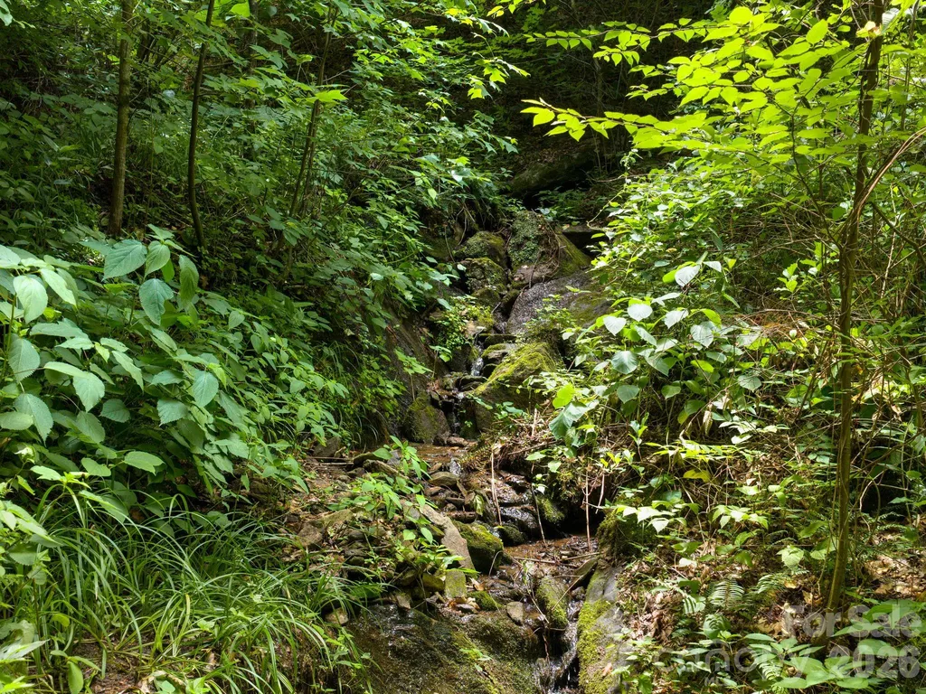 46 Perennial Ridge Weaverville NC 28787