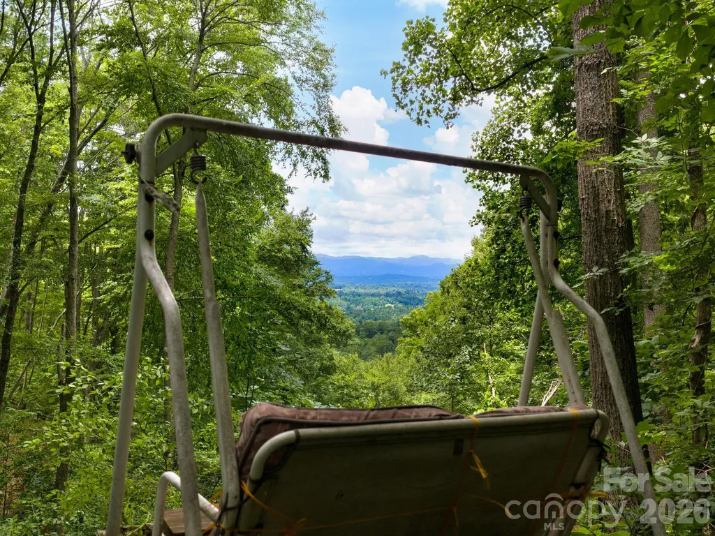 46 Perennial Ridge Weaverville NC 28787