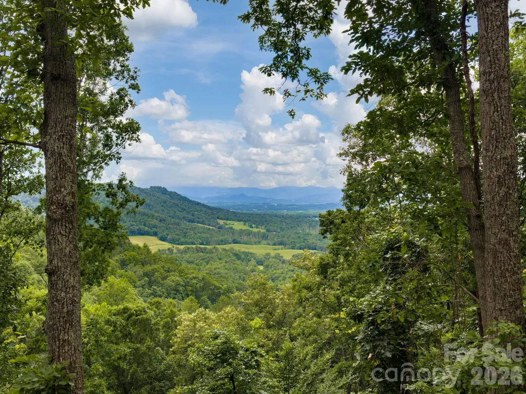 46 Perennial Ridge Weaverville NC 28787