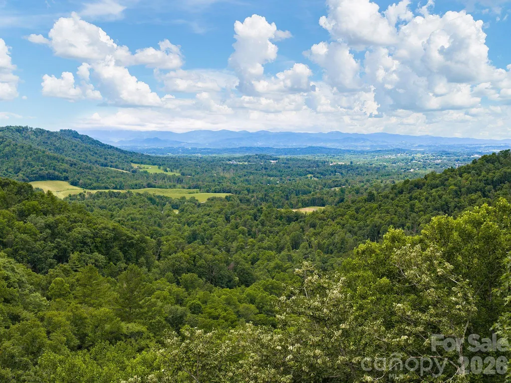46 Perennial Ridge Weaverville NC 28787