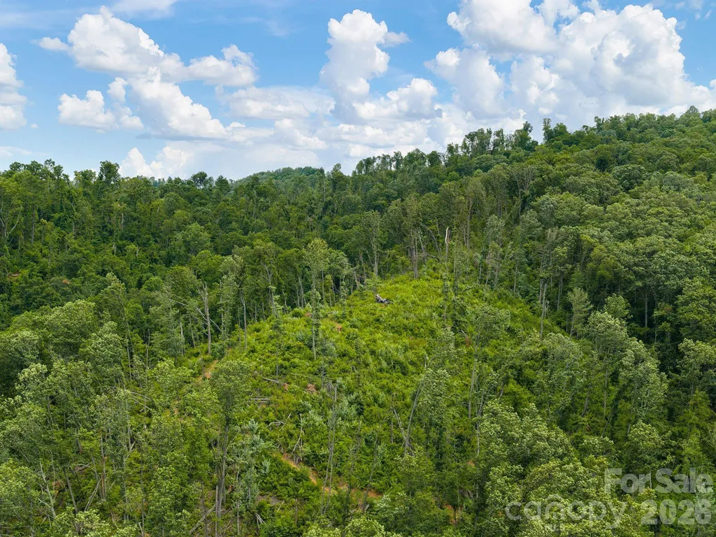 46 Perennial Ridge Weaverville NC 28787