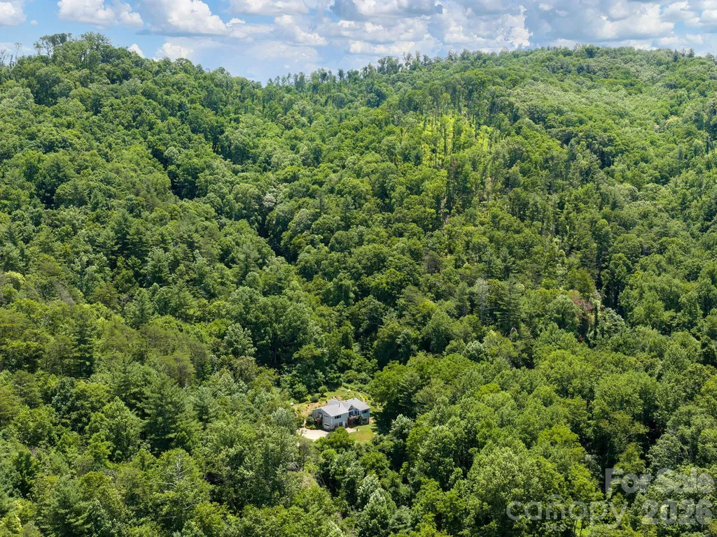 46 Perennial Ridge Weaverville NC 28787