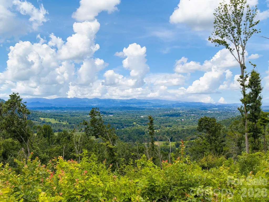 46 Perennial Ridge Weaverville NC 28787
