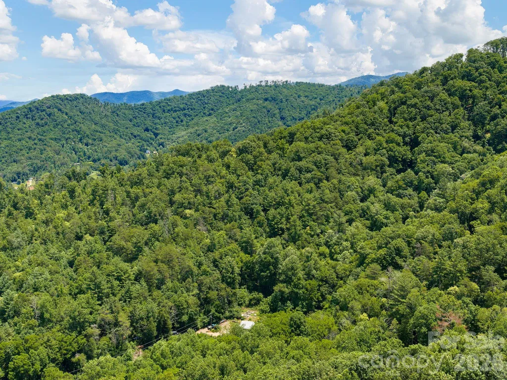 46 Perennial Ridge Weaverville NC 28787