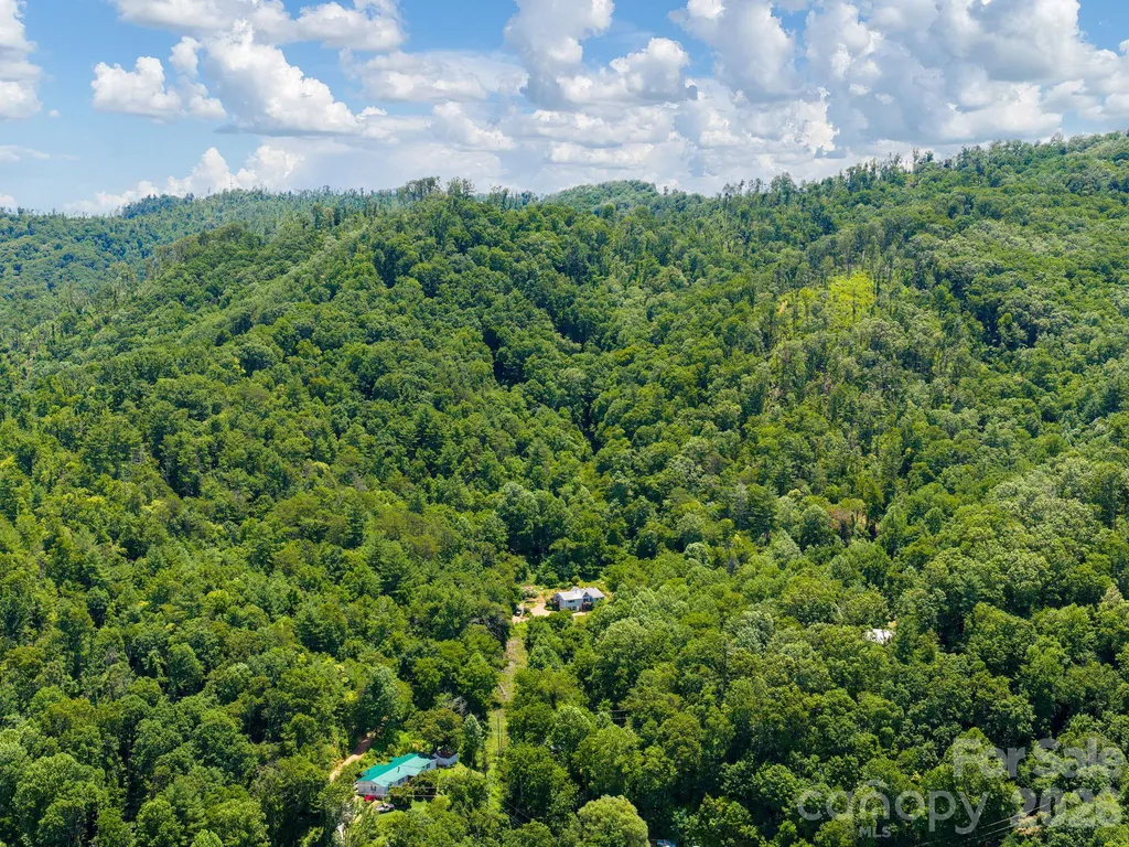 46 Perennial Ridge Weaverville NC 28787