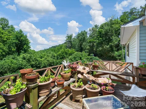46 Perennial Ridge Weaverville NC 28787