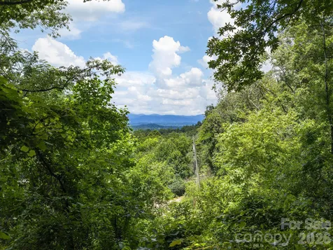 46 Perennial Ridge Weaverville NC 28787