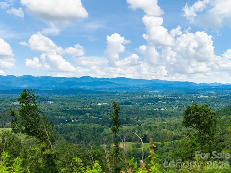 46 Perennial Ridge Weaverville NC 28787