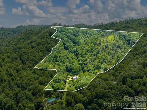 46 Perennial Ridge Weaverville NC 28787