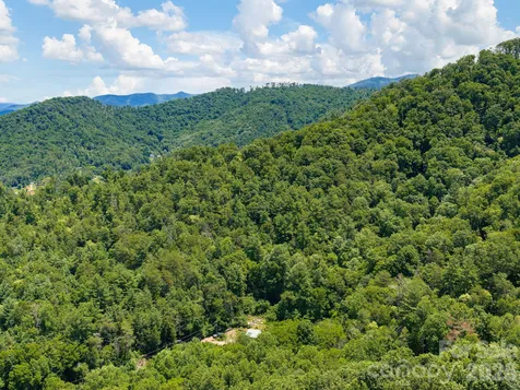 46 Perennial Ridge Weaverville NC 28787