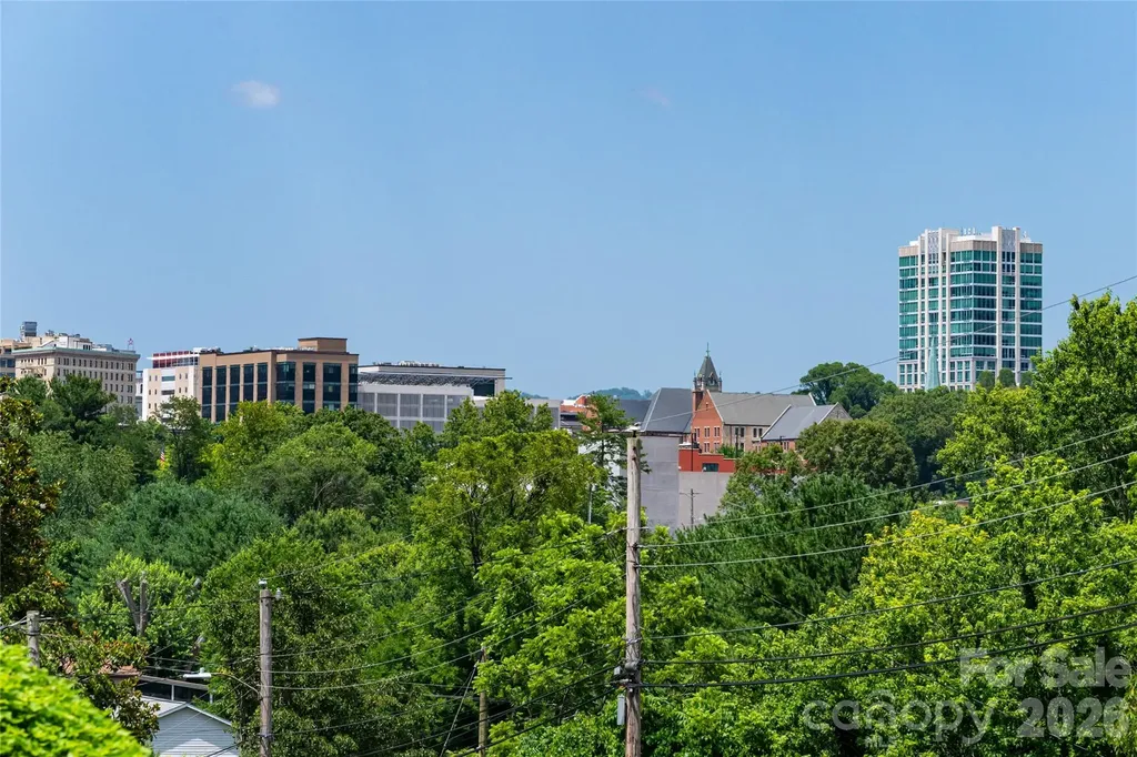 30 Bartlett Street Asheville NC 28801