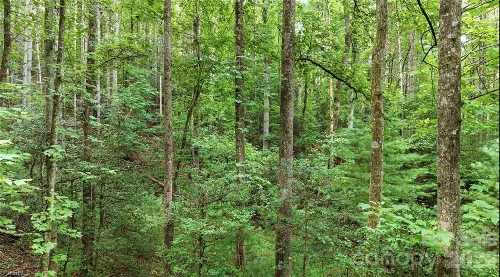 11526 Us Highway 421 Purlear NC 28665