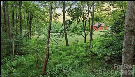 11526 Us Highway 421 Purlear NC 28665