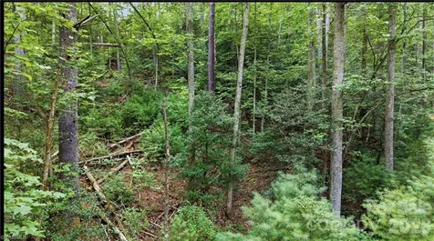 11526 Us Highway 421 Purlear NC 28665