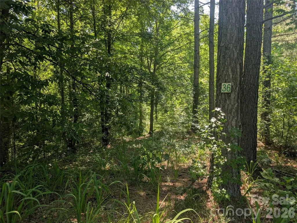 120 Scenic Ridge Drive Mooresboro NC 28114