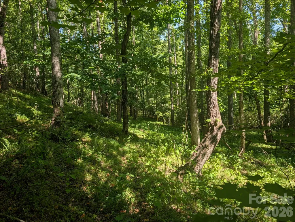 120 Scenic Ridge Drive Mooresboro NC 28114