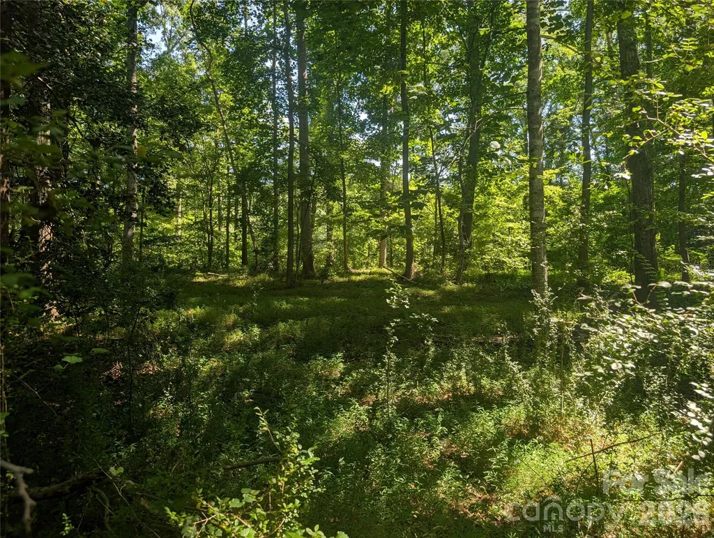120 Scenic Ridge Drive Mooresboro NC 28114