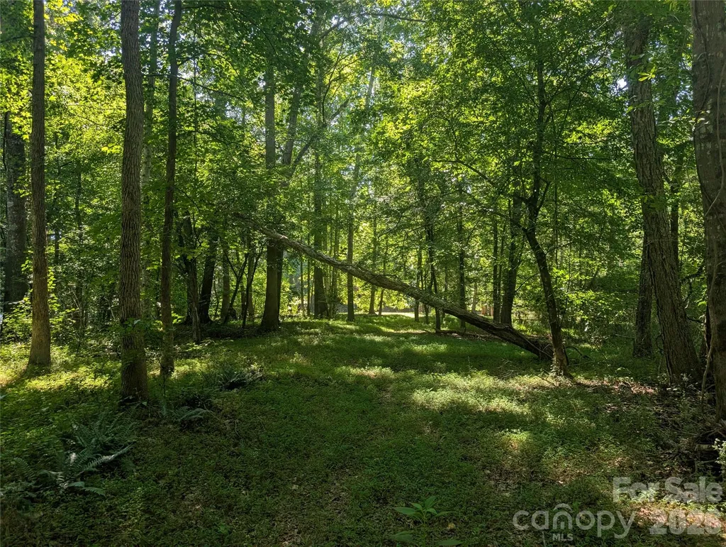 120 Scenic Ridge Drive Mooresboro NC 28114