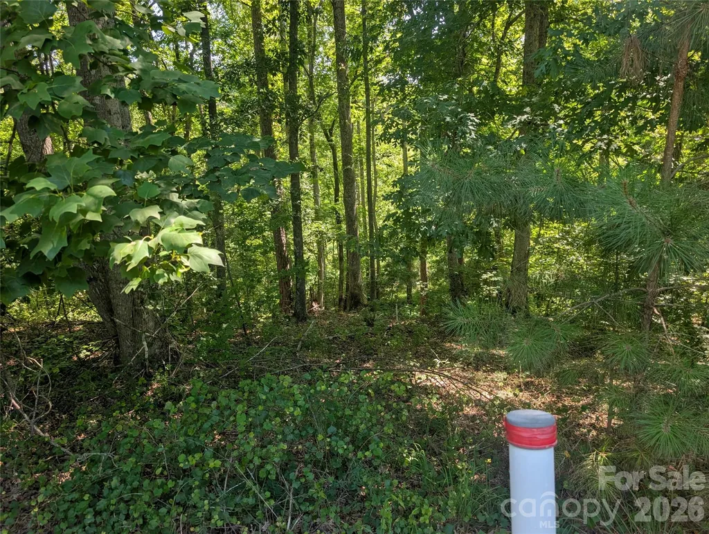 120 Scenic Ridge Drive Mooresboro NC 28114
