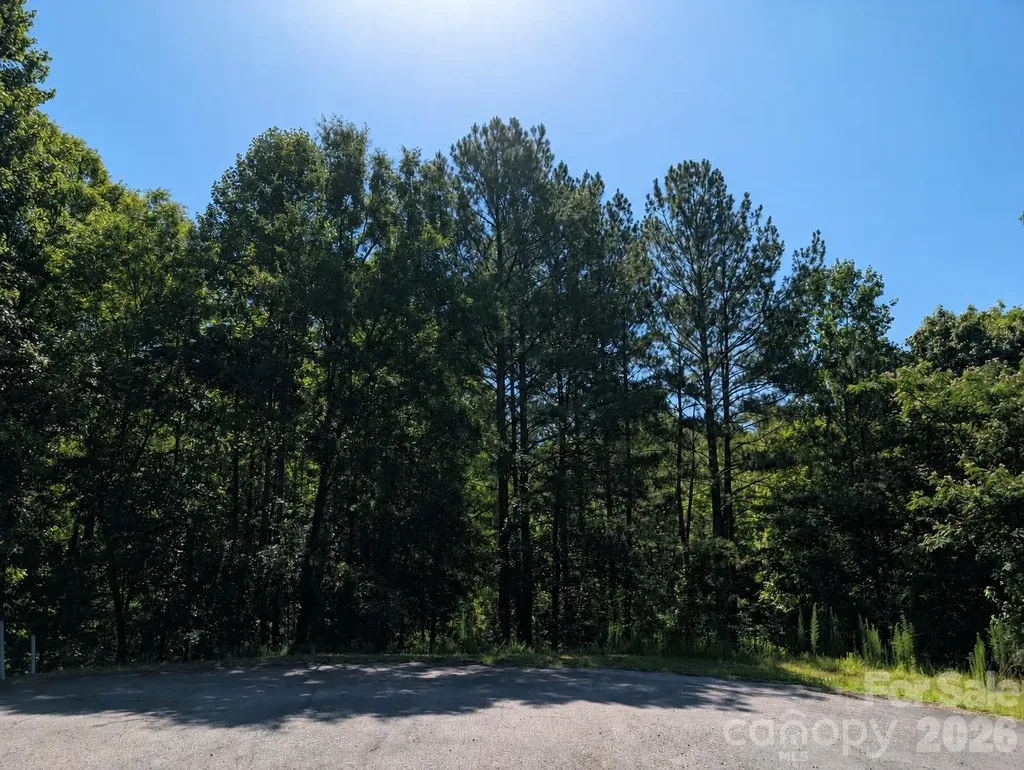 120 Scenic Ridge Drive Mooresboro NC 28114