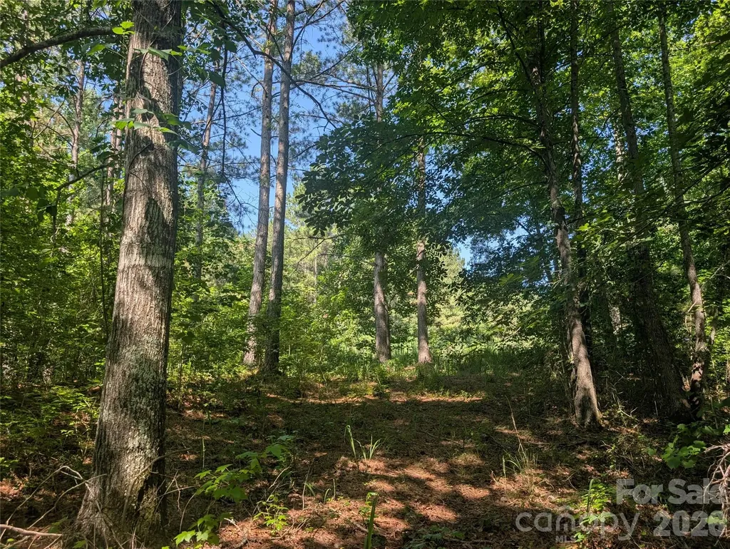 120 Scenic Ridge Drive Mooresboro NC 28114