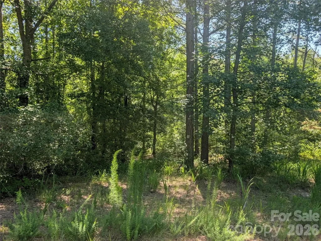 120 Scenic Ridge Drive Mooresboro NC 28114