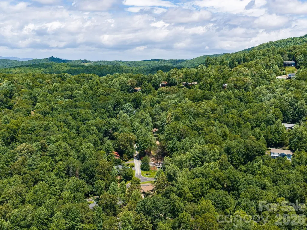 19 Loggers Run Hendersonville NC 28739