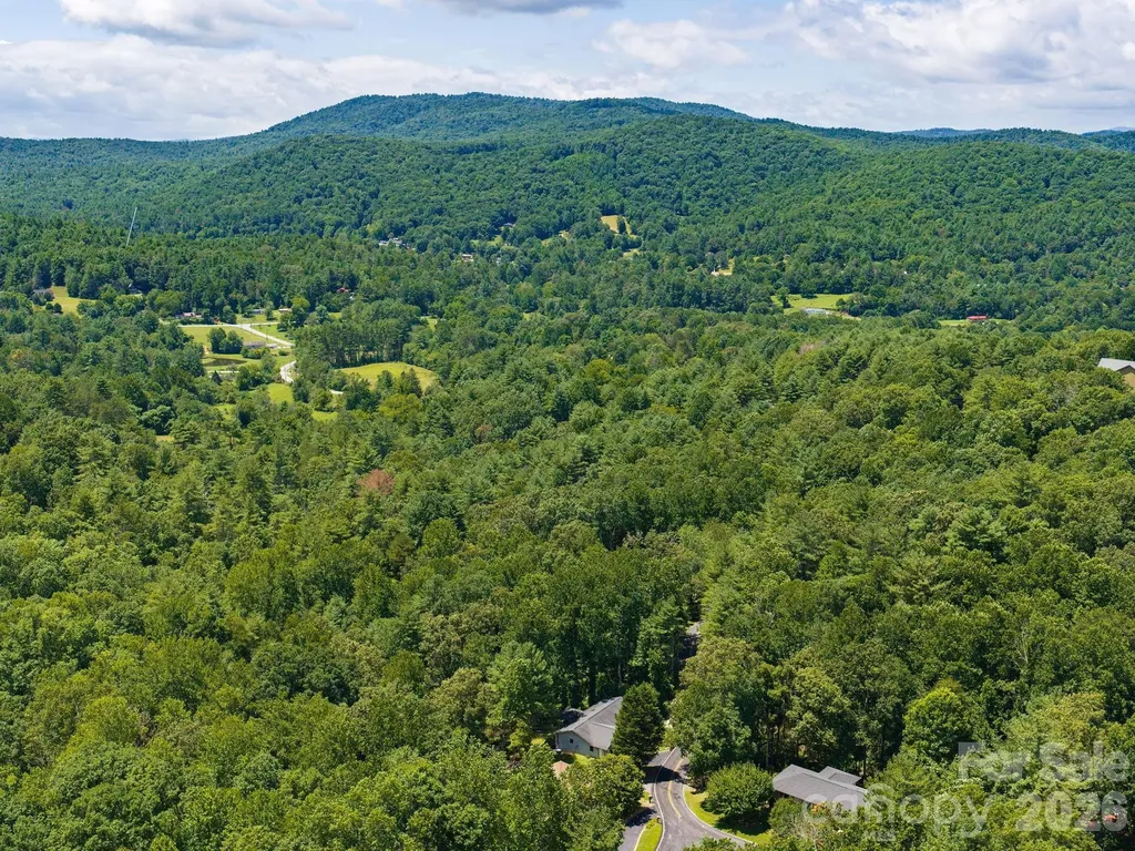 19 Loggers Run Hendersonville NC 28739