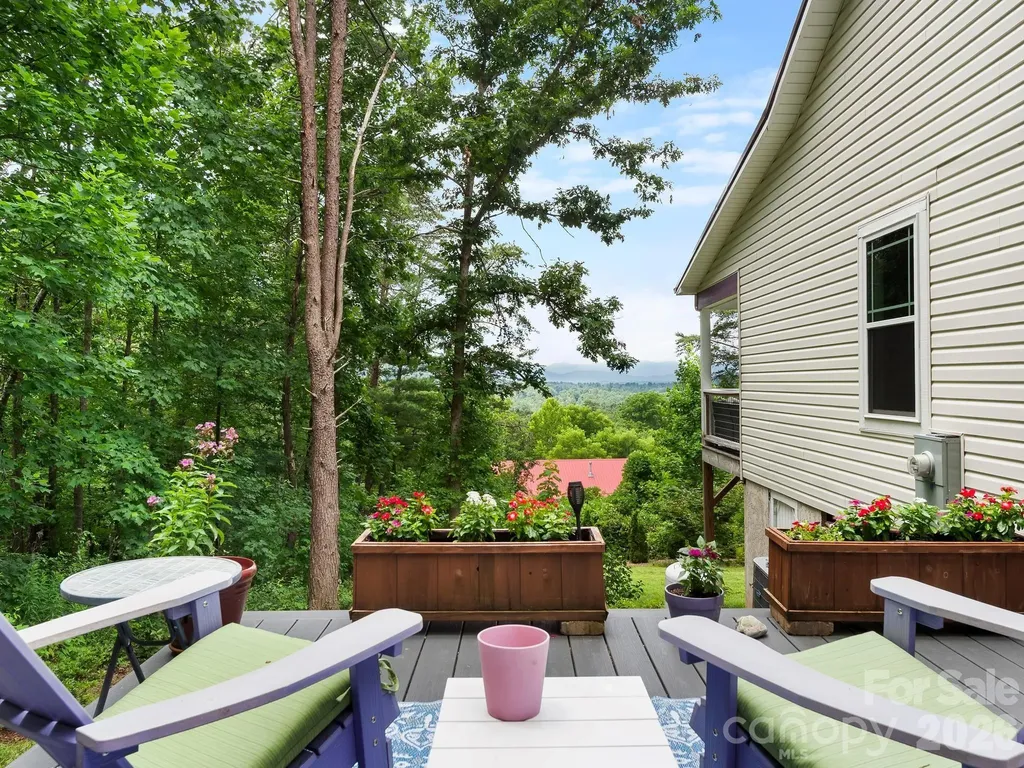 333 Herron Point Lane Weaverville NC 28787