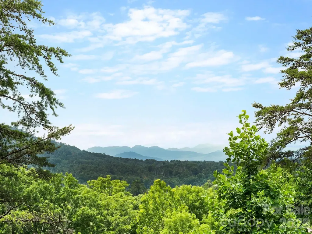 333 Herron Point Lane Weaverville NC 28787
