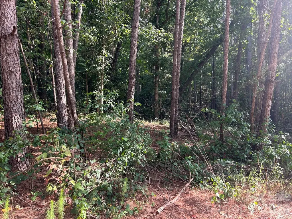 00 Knottywood Lane Vale NC 28168