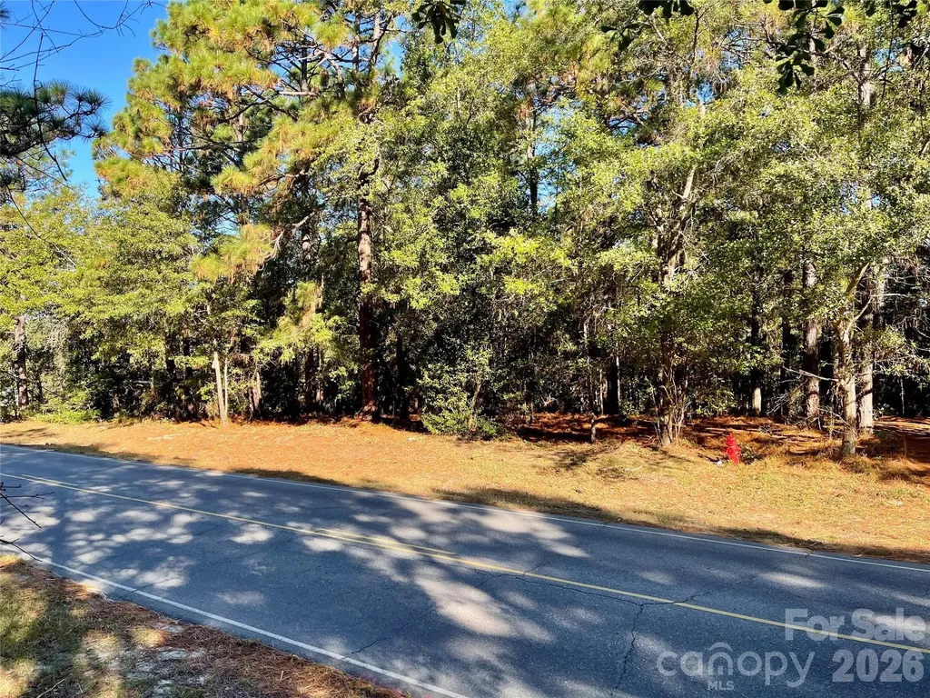 0 Hylan Avenue Hamlet NC 28345