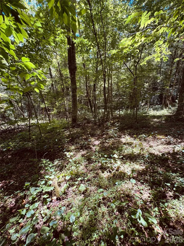 6835 Nc 183 Highway Newland NC 28657