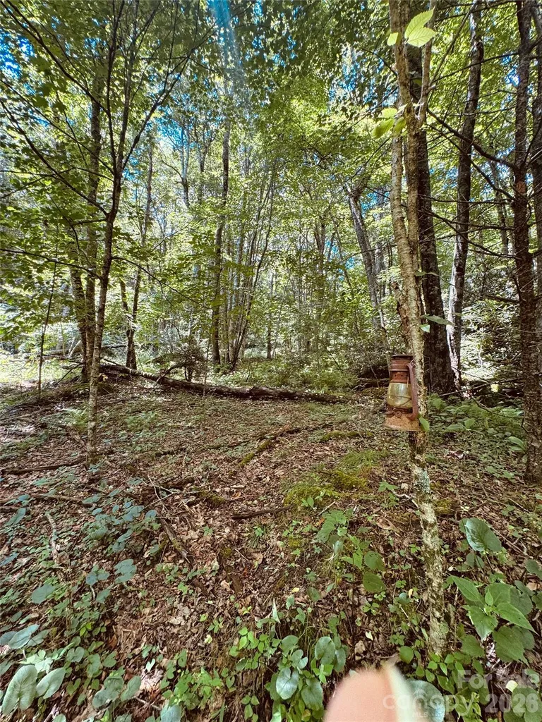 6835 Nc 183 Highway Newland NC 28657