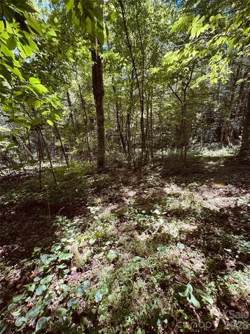 6835 Nc 183 Highway Newland NC 28657