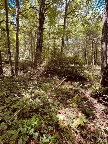 6835 Nc 183 Highway Newland NC 28657