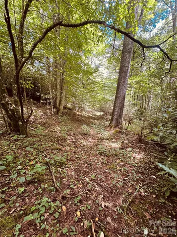 6835 Nc 183 Highway Newland NC 28657