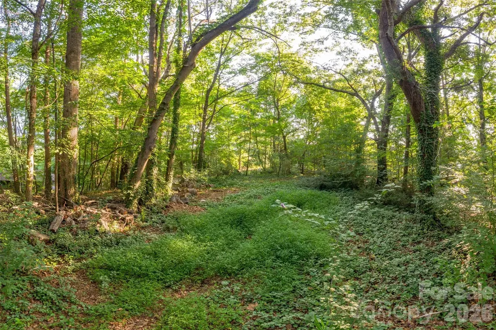 174 Laurel Lane Lake Lure NC 28746