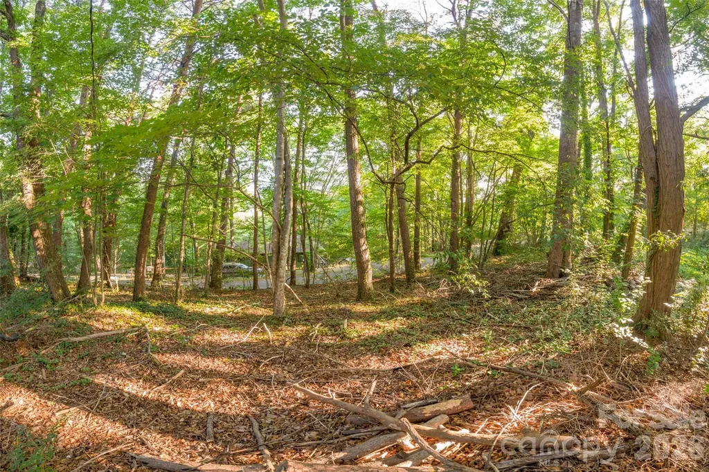174 Laurel Lane Lake Lure NC 28746