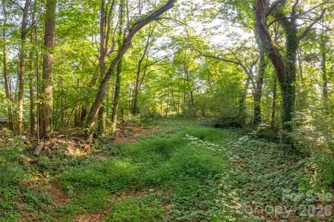 174 Laurel Lane Lake Lure NC 28746