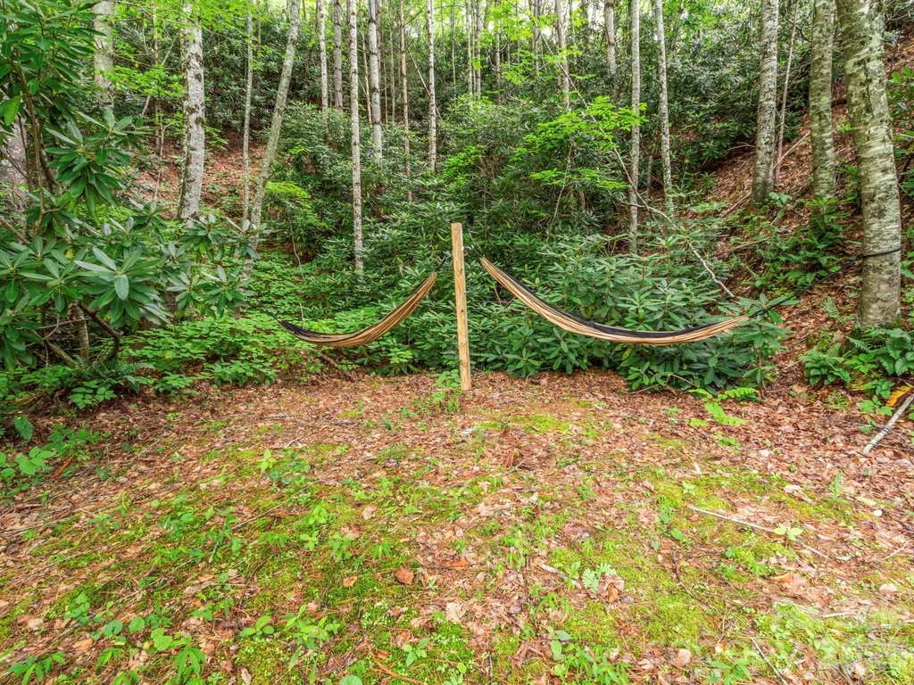 1901 Blue Rock Road Burnsville NC 28714