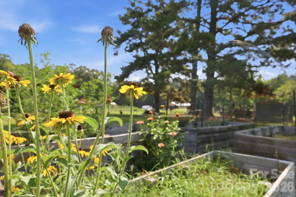 24654 Matton Grove Church Road Gold Hill NC 28071