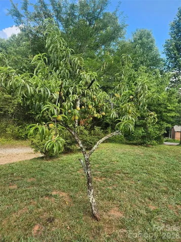 2283 Harbinson Lane Morganton NC 28655