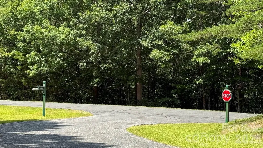 00 Fallen Tree Lane Mill Spring NC 28756