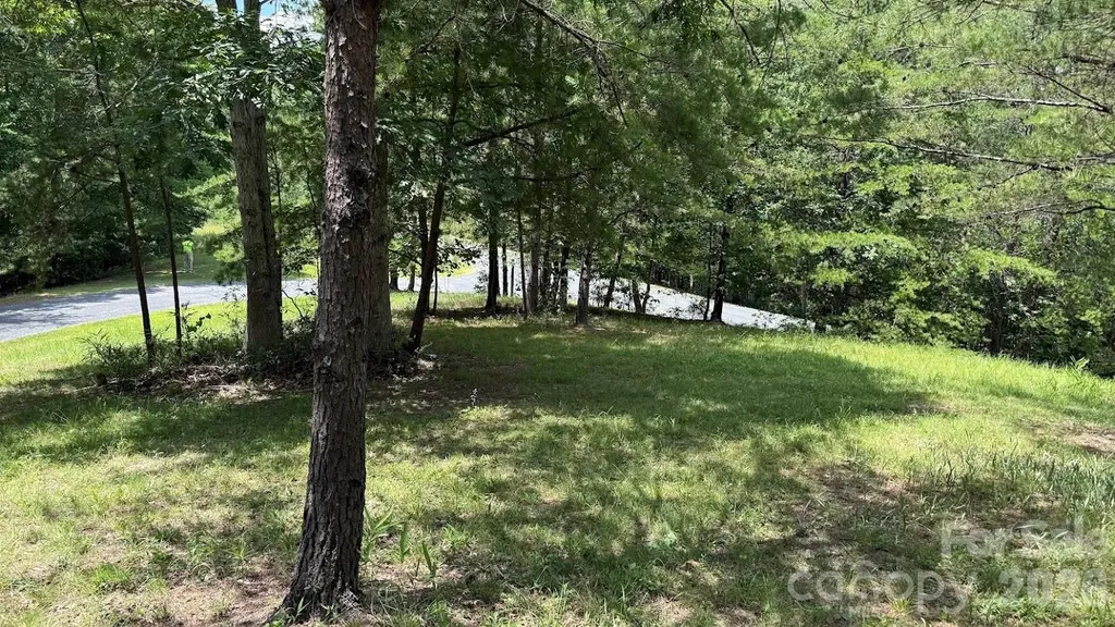 00 Fallen Tree Lane Mill Spring NC 28756
