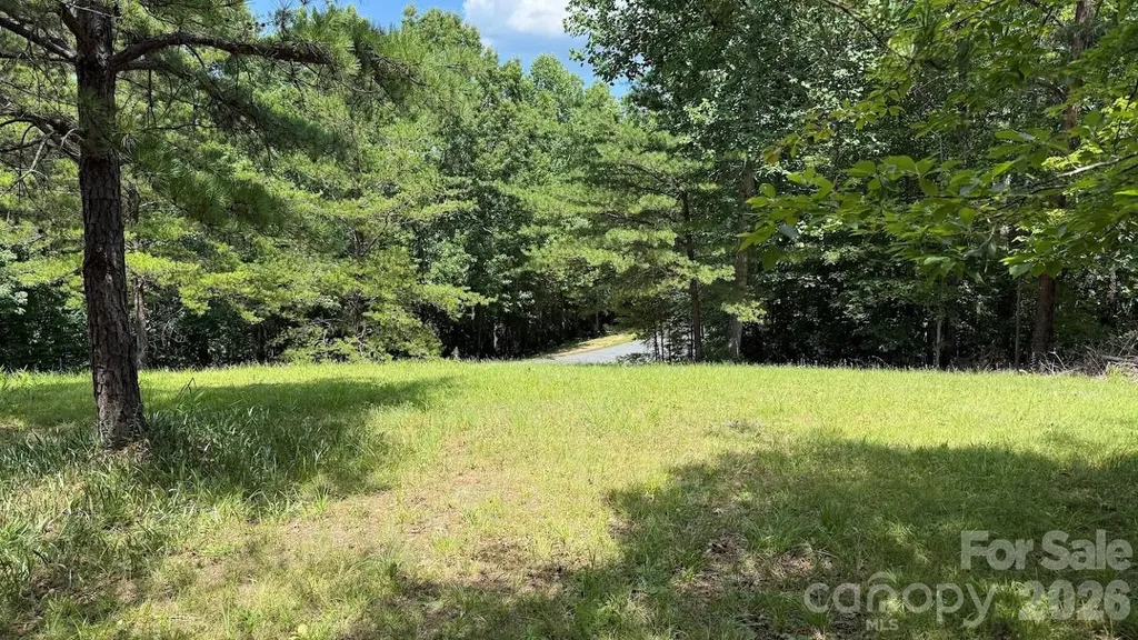 00 Fallen Tree Lane Mill Spring NC 28756