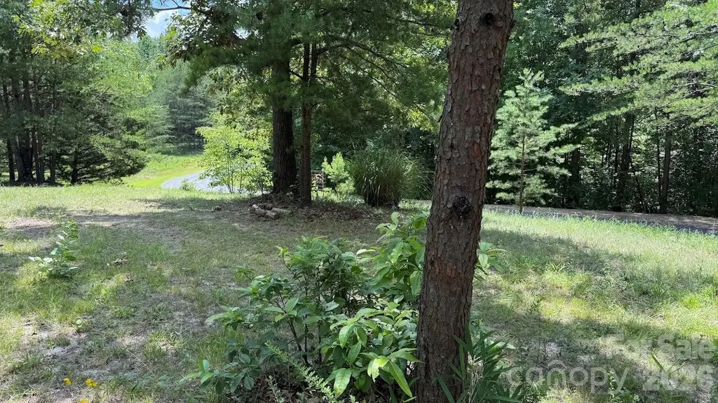 00 Fallen Tree Lane Mill Spring NC 28756
