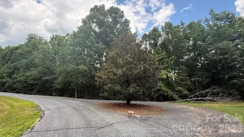 00 Fallen Tree Lane Mill Spring NC 28756